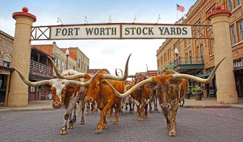 Fort Worth Stockyards